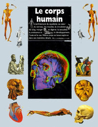 Le corps humain: Structures, organes et fonctionnement