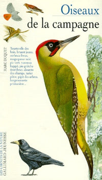 Oiseaux de la campagne