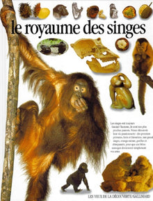 Le royaume des singes