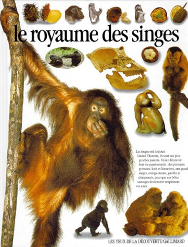 Le royaume des singes