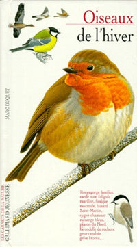 Oiseaux de l'hiver