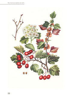 Mes meilleures plantes de santé