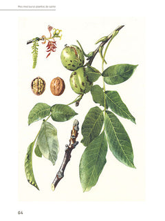 Mes meilleures plantes de santé