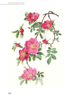 Mes meilleures plantes de santé