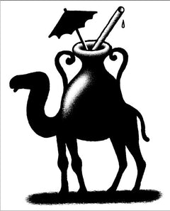 Contes liquides de Jaime Montestrela