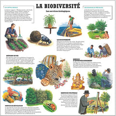La nature retrouvée