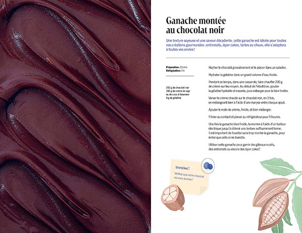 Ma pâtisserie sans gluten ni lactose: 50 recettes pour toutes les occasions