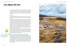 Algues au quotidien