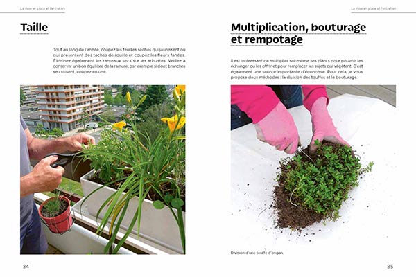 Un jardin d'aromatiques sur mon balcon