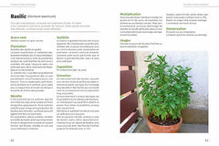 Un jardin d'aromatiques sur mon balcon