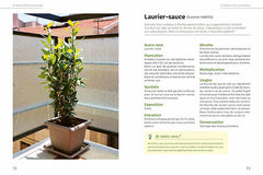 Un jardin d'aromatiques sur mon balcon