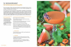 Mes jus maison au fil des saisons