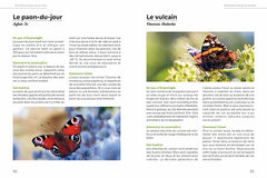 Accueillir la biodiversité en ville