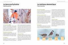 Accueillir la biodiversité en ville