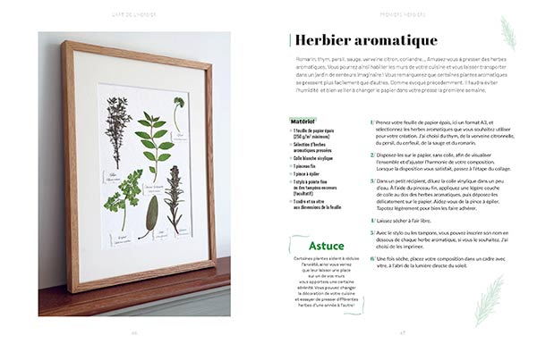 L'art de l'herbier