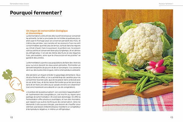 Aliments fermentés, aliments santé
