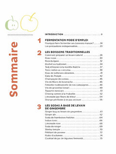 Boissons fermentées naturelles