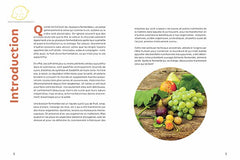 Boissons fermentées naturelles
