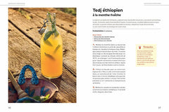 Boissons fermentées naturelles