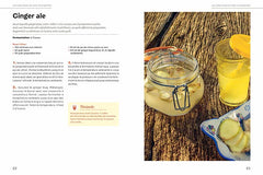 Boissons fermentées naturelles
