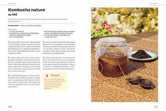 Boissons fermentées naturelles