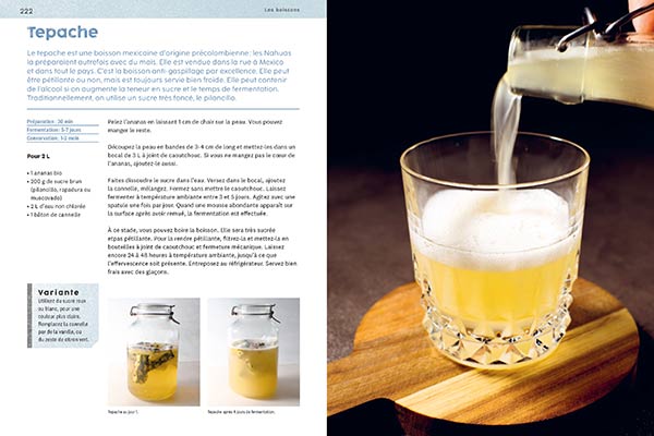 À l'école de la fermentation