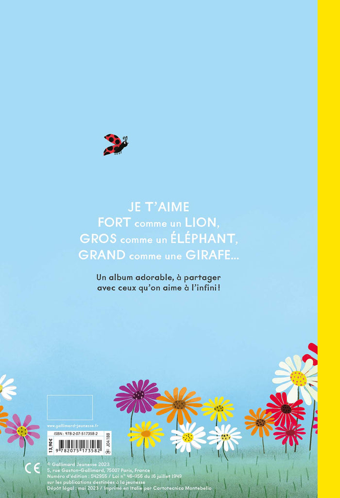 Je t'aime, un peu... à la folie !