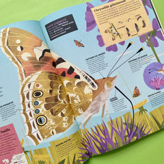 Insectes