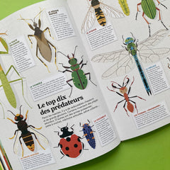 Insectes