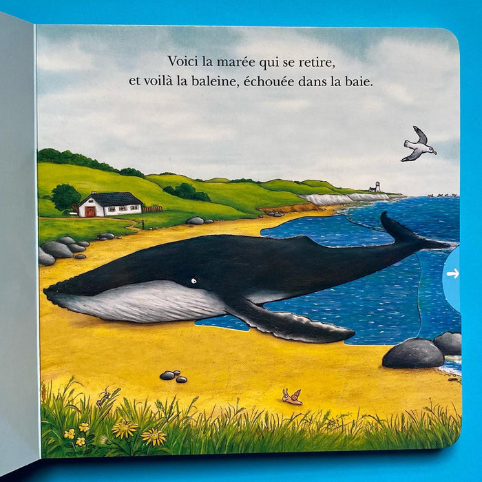 La baleine et l'escargote