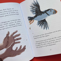 Le Phare aux oiseaux