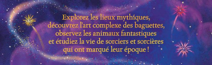 Harry Potter Le Guide Ultime