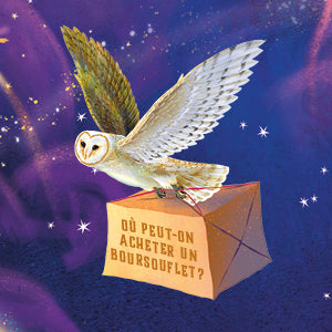 Harry Potter Le Guide Ultime