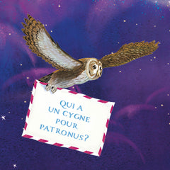 Harry Potter Le Guide Ultime
