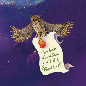 Harry Potter Le Guide Ultime