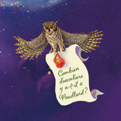 Harry Potter Le Guide Ultime