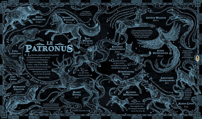 Harry Potter Le Guide Ultime