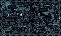 Harry Potter Le Guide Ultime