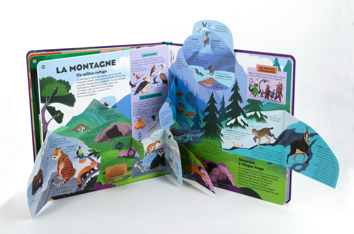 Mon encyclopédie animée - Animaux