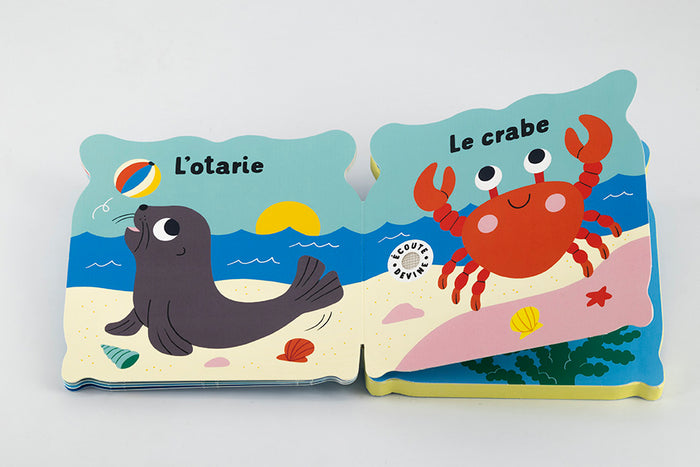 Splash ! Les sons de la mer