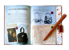 Harry Potter - Sortilèges