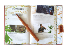 Harry Potter - Sortilèges