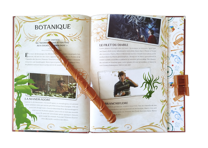 Harry Potter - Sortilèges