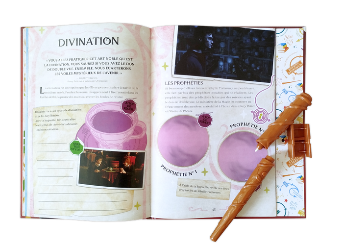 Harry Potter - Sortilèges