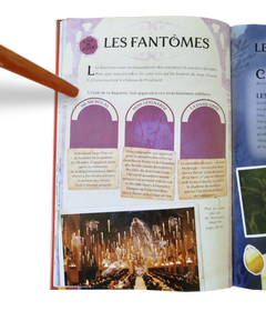 Harry Potter - Sortilèges