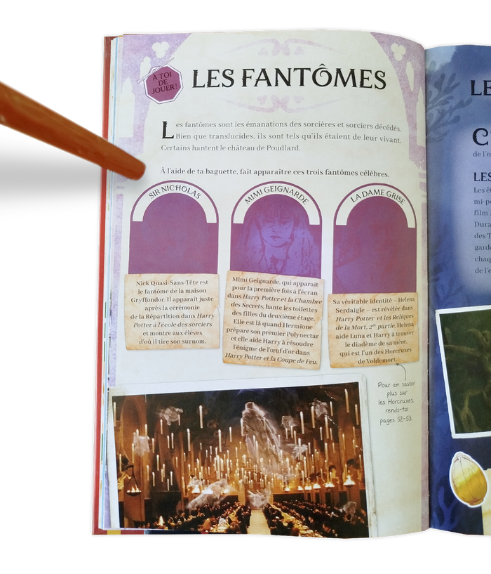 Harry Potter - Sortilèges