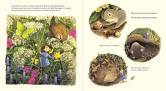 La petite fée des bois