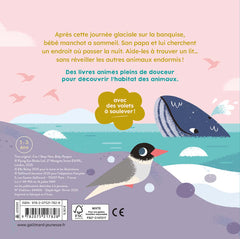 Dors bien, bébé manchot !