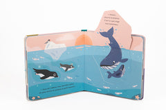 Dors bien, bébé manchot !