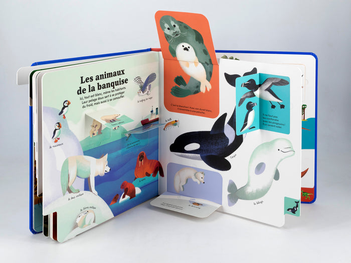 Mon grand imagier animé - Animaux